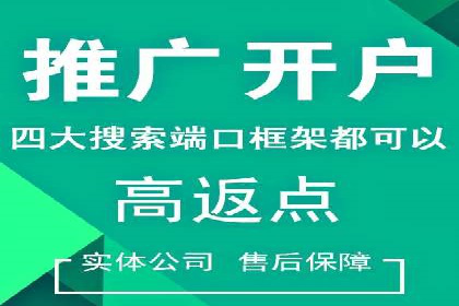百度竞价排名服务：成功案例解析与优化策略